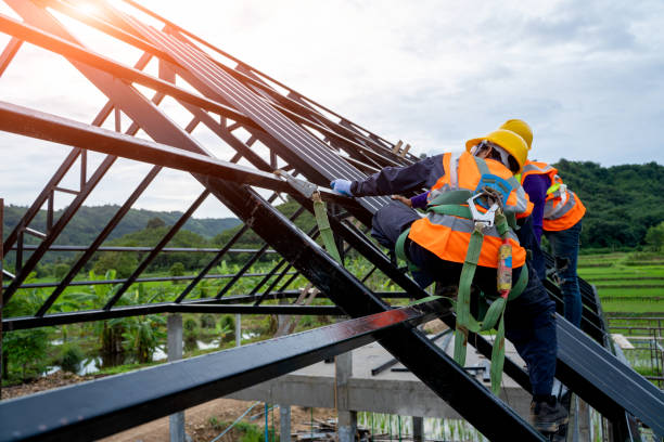 Professional Roofing Contractor in Fair Plain, MI