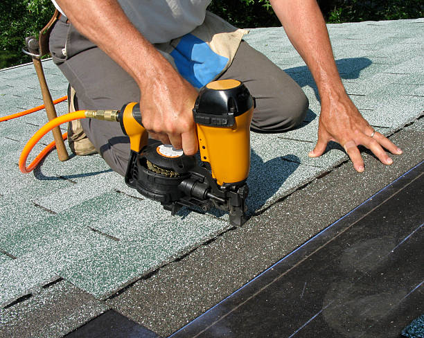 Best Roof Gutter Cleaning  in Fair Plain, MI