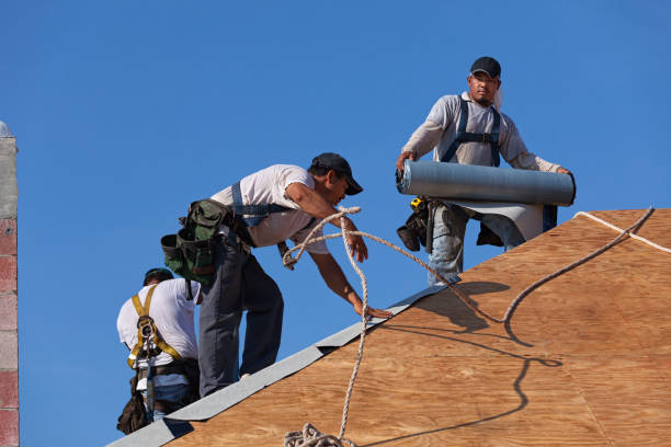 Best Roof Repair Specialists  in Fair Plain, MI