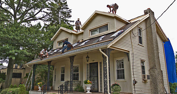 Best Roof Gutter Cleaning  in Fair Plain, MI